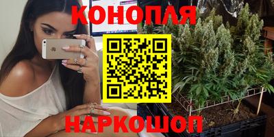 гидропоника Ярославль