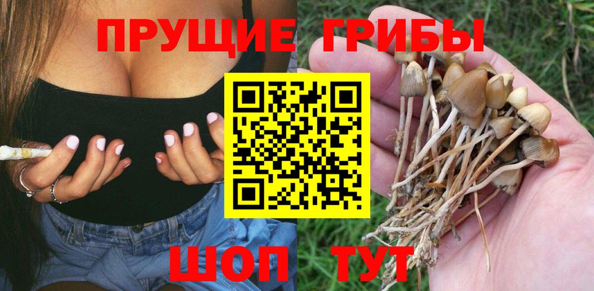 Псилоцибиновые грибы MAGIC MUSHROOMS Ачхой-Мартан