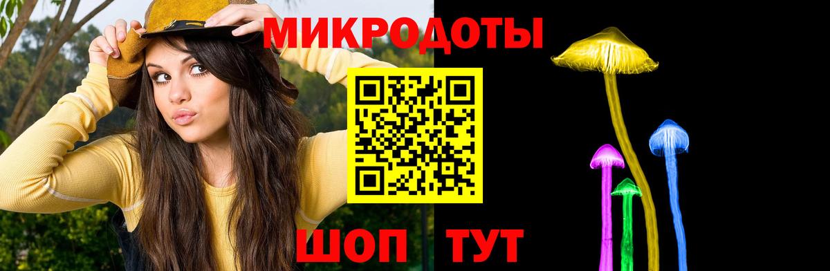 Ачхой-Мартан  Псилоцибиновые грибы GOLDEN TEACHER  где купить   Вход с VPN 